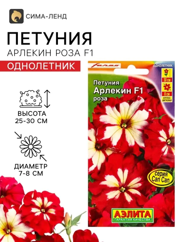 Семена цветов Петуния &laquo;Арлекин Роза&raquo; F1, крупноцветковая, драже, С. Farao, 5 шт.