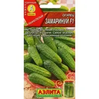 Семена огурца "Замаринуй", F1, 10 шт.