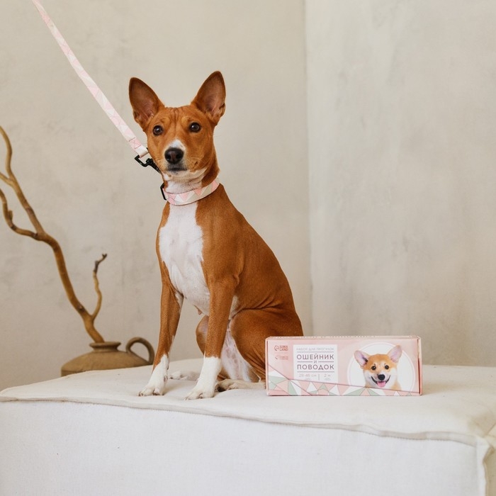 Набор &laquo;Ромбы&raquo;, застёжка - фастекс, поводок 2 м и ошейник 28-46 см