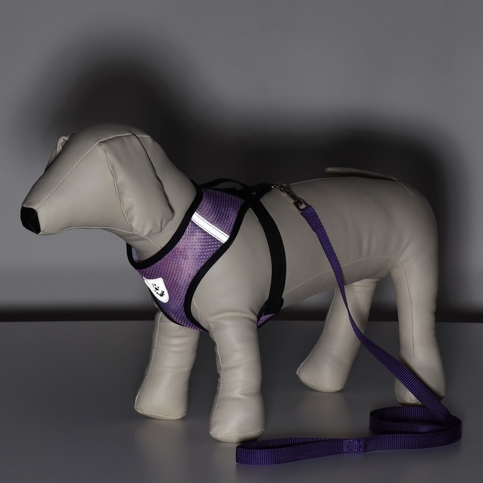 Комплект для собак 3-5 кг, размер S, поводок 120 х 1,5 см, ОШ 24 см, ОГ 34 см Комплект для собак 3-5 кг, размер S, поводок 120 х 1,5 см, ОШ 24 см, ОГ 34 см