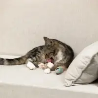 VETTA Игрушка для домашних животных, набор 2 шт, пластмасса, мышки