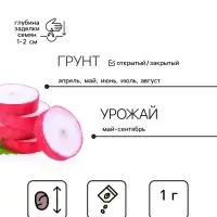 Семена Редис Алекс F1 1 г (Сибирский сад)