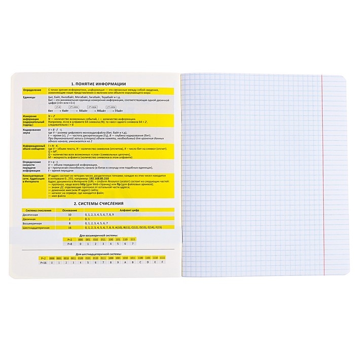 Тетрадь предметная ИНФОРМАТИКА, 48 листов в клетку, ErichKrause Be Informed, пластиковая обложка, шелкография, блок офсет 100% белизна, инфо-блок