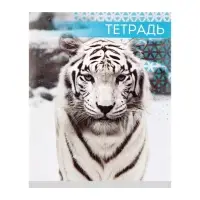 Тетрадь 48 листов в клетку, Calligrata «Дикие кошки», обложка мелованная бумага, МИКС Тетрадь 48 листов в клетку, Calligrata «Дикие кошки», обложка мелованная бумага, МИКС