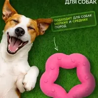 Жевательная игрушка для собак &laquo;Пленительная звезда&raquo;, 7 см, TPR, розовая