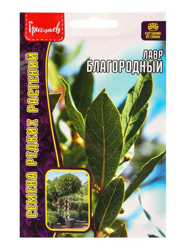 Семена Лавр Благородный 2 шт. / НОВИНКА  12.29 г.
