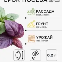 Семена Базилик овощной &laquo;Фейерверк вкуса&raquo;, смесь, 0.2 г