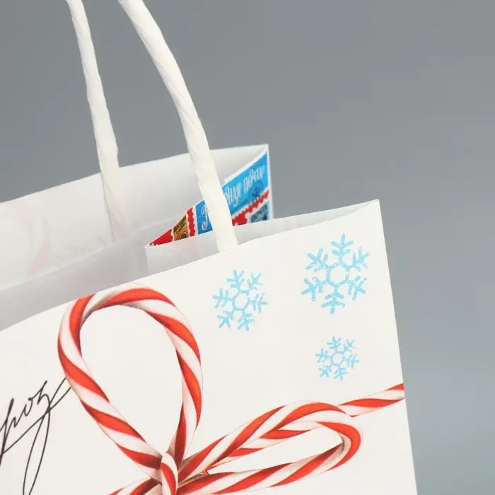 Пакет под бутылку «Новогодняя почта», 13 x 36 x 10 см Пакет под бутылку «Новогодняя почта», 13 x 36 x 10 см