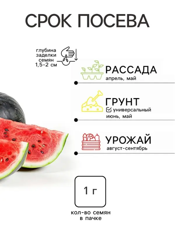 Семена Арбуз &laquo;Сибирский Мед&raquo;, 1 г, &laquo;Семена Алтая&raquo;