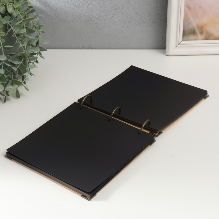 Фотоальбом на кольцах 30 листов Фотоальбом на кольцах 30 листов "Свежесть" чёрные листы 18х18 см