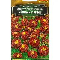 Семена цветов Бархатцы Черный принц отклоненные Золотая серия, Ц/П,0,3 г Семена цветов Бархатцы Черный принц отклоненные Золотая серия, Ц/П,0,3 г