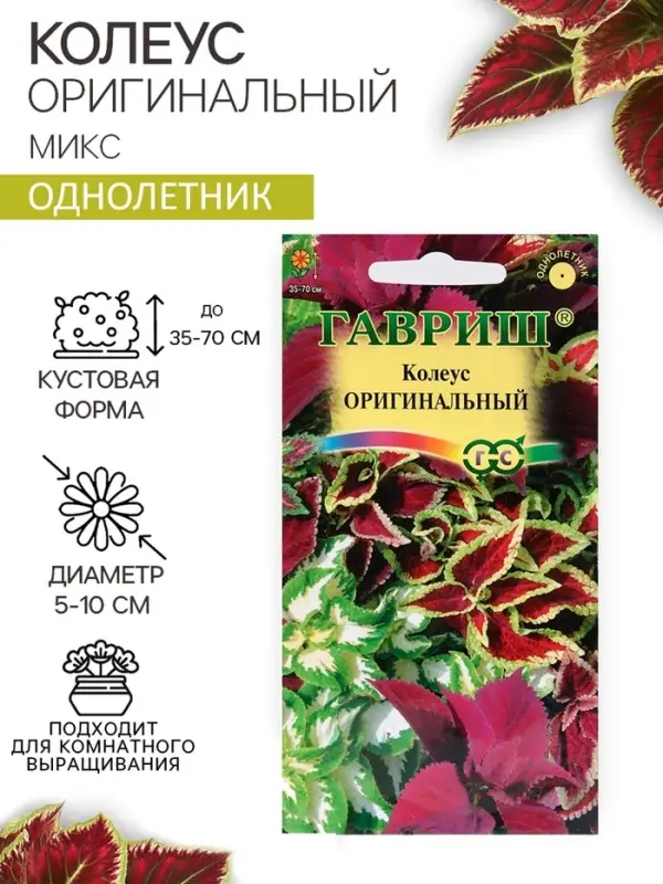 Семена цветов Колеус  Семена цветов Колеус "Оригинальный", ц/п,  смесь,  0,03  г