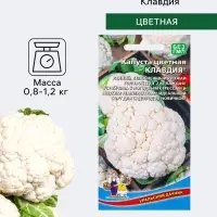 Семена Капуста цветная &laquo;Клавдия&raquo; 0.25 г