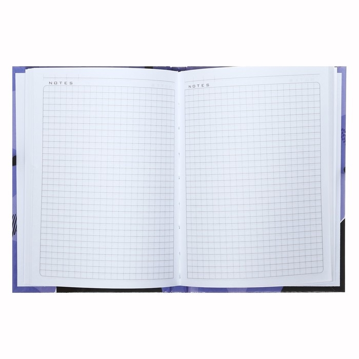 Записная книжка, А6, 80 листов, в клетку, Записная книжка, А6, 80 листов, в клетку, "Я и мой кот", твердая обложка, глянцевая ламинация, блок офсет 60г/м2