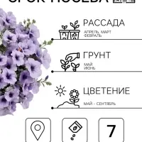 Семена Цветов Петуния &laquo;Мамбо&raquo; F1, синяя с прожилками, пробирка, 7 шт.