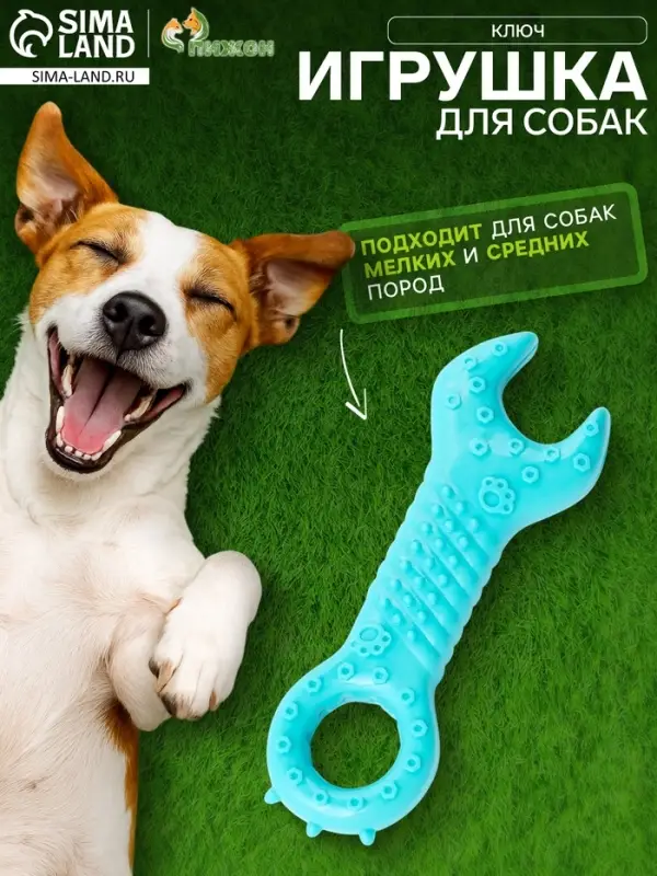 Массажная игрушка для собак &laquo;Ключ&raquo; 14 см, TPR, МИКС