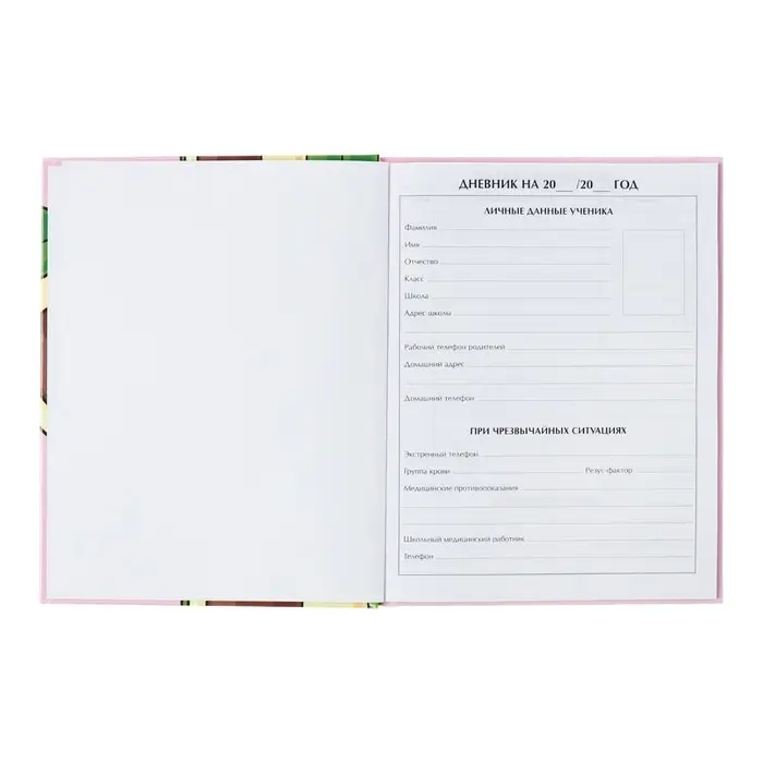 Дневник универсальный для 1-11 классов, Avocato, твердая обложка 7БЦ, глянцевая ламинация, 40 листов