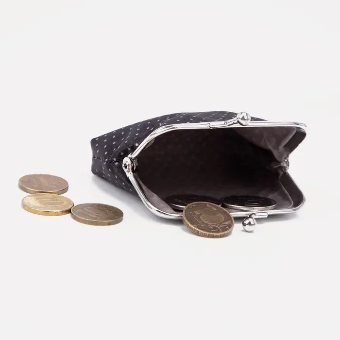 Кошелёк женский на фермуаре, цвет чёрный