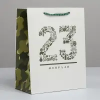 Пакет подарочный ламинированный, упаковка, &laquo;23 февраля&raquo;, MS 18&times;23&times;10 см