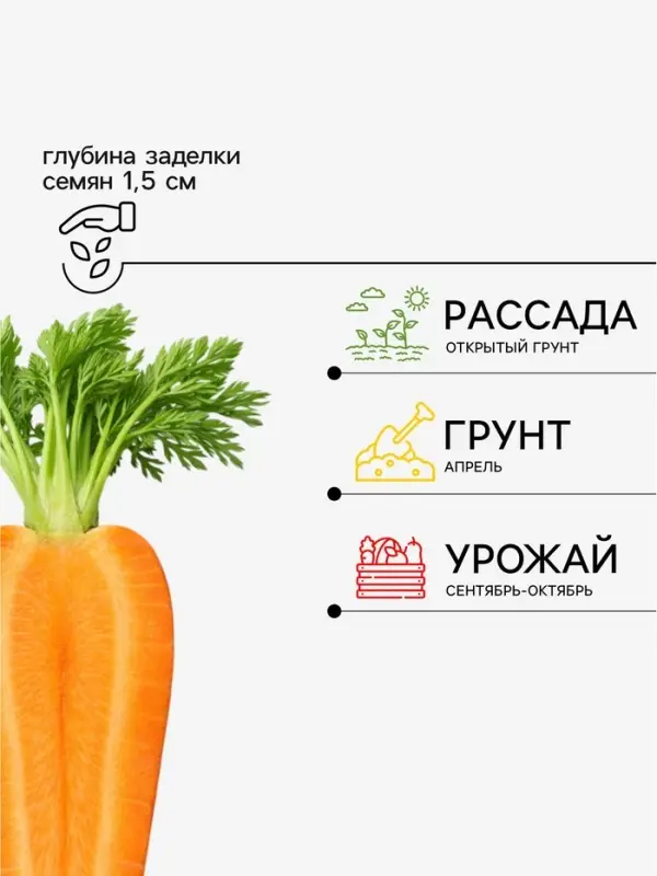 Семена Морковь &laquo;Красный великан Роте Ризен&raquo;, драже, 300 шт., &laquo;Росток-гель&raquo;