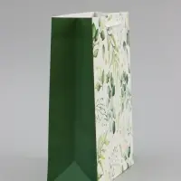 Пакет подарочный ламинированный, упаковка, Present for you, ML 21&times;25&times;8 см