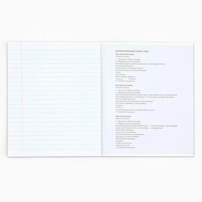 Тетрадь в линейку, предметная, 48 л.,на скрепке, А5 &laquo;Аниме Комикс. Русский язык&raquo;