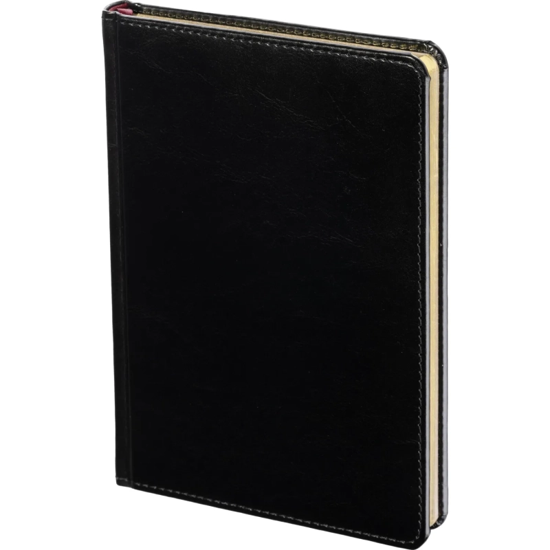 Ежедневник недатированный черн,А5,145х205мм,136л, Sidney NEBRASKA 3-128/02