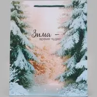 Пакет подарочный &laquo;Зима - время чудес&raquo;, 26&times;12&times;32 см