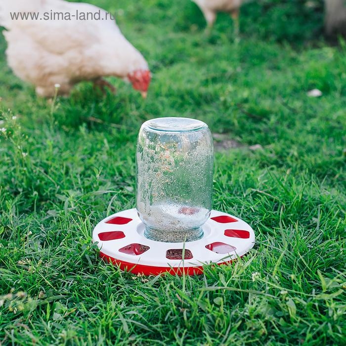 Поилка для домашней птицы, под банку и бутылку, d = 220 мм, МИКС Поилка для домашней птицы, под банку и бутылку, d = 220 мм, МИКС
