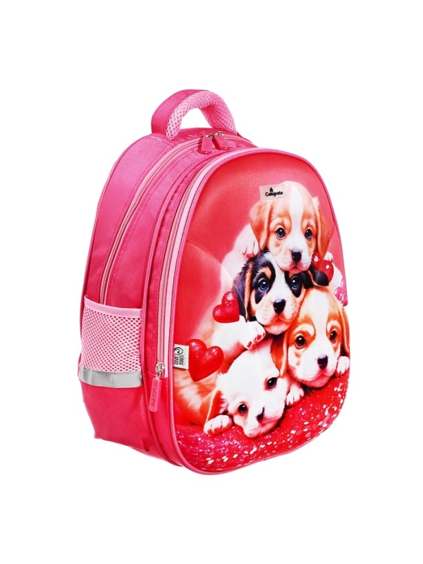 Рюкзак каркасный школьный, 39 х 30 х 14 см, Calligrata  Рюкзак каркасный школьный, 39 х 30 х 14 см, Calligrata "Котята"
