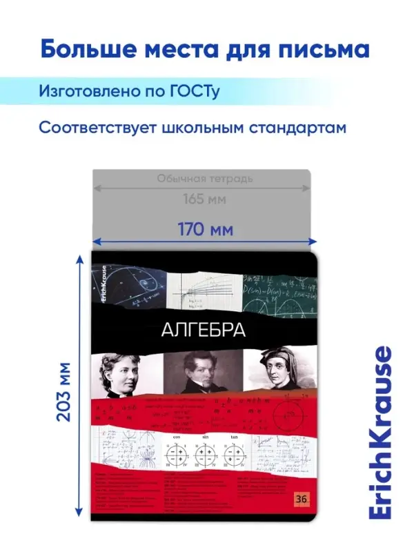 Предметная тетрадь по алгебре ErichKrause. Timeline, 36 листов, в клетку, со справочным материалом, обложка из мелованного картона