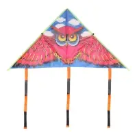 Воздушный змей &laquo;Сова&raquo;, с леской