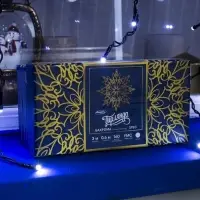 Гирлянда &laquo;Бахрома&raquo; 3&times;0.6 м, IP44, УМС, тёмная нить, 160 SMD-LED, свечение белое, 220 В