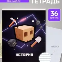 Предметная тетрадь по истории Calligrata &laquo;Пиксели&raquo;, 36 листов, в клетку, со справочным материалом, обложка из мелованного картона