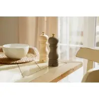 Набор мельниц для специй SL Home &laquo;Афины&raquo;, 2 шт., 17 см, цвет молочный, серый