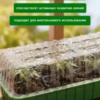 Мини-парник для рассады, 40&times;16&times;13 см, 2 вставки, 8 ячеек, зелёный, Greengo