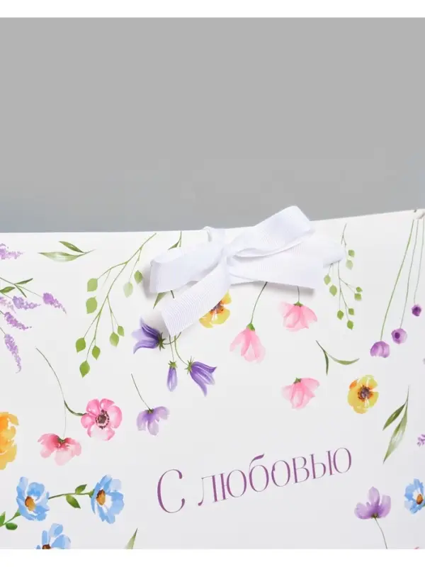 Пакет подарочный с лентой &laquo;Подарок&raquo;, 40 &times; 31 &times; 11,5 см