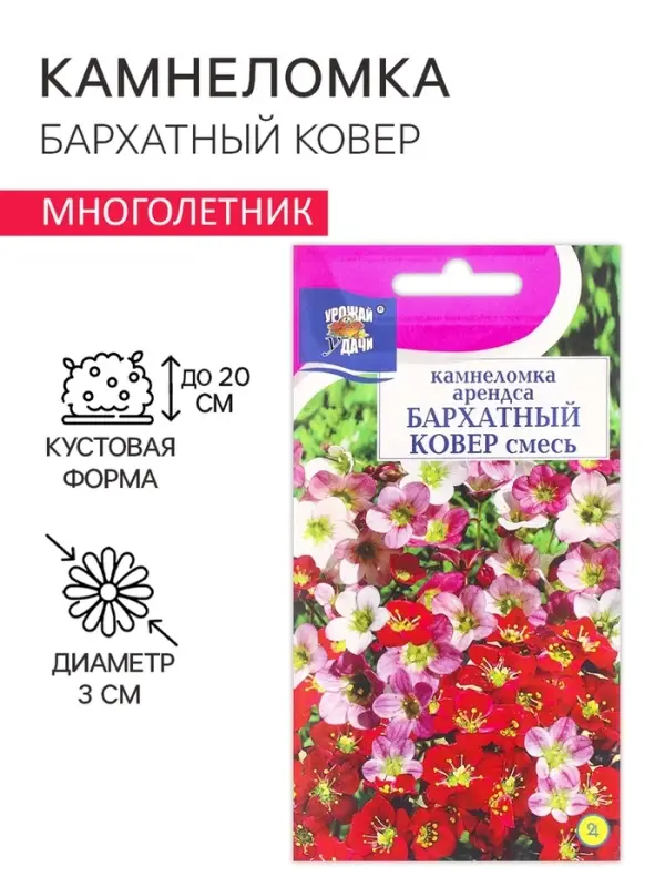 Семена цветов Камнеломка "Бархатный ковер", 0,01 г