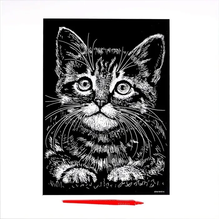 Гравюра &laquo;Котёнок&raquo; с металлическим эффектом &laquo;серебро&raquo; А4