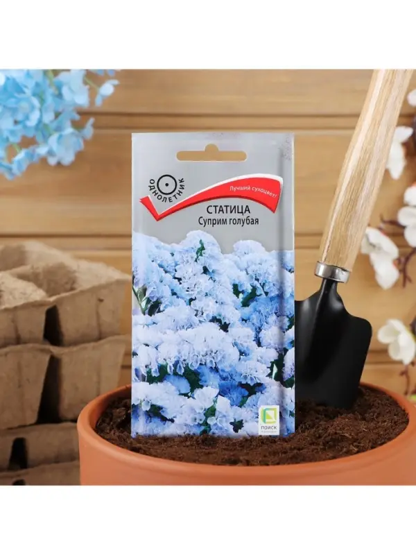 Набор семян Статица Набор семян Статица "Суприм голубая", 5 шт.
