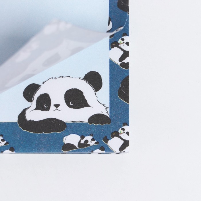 Планер с отрывными листами, 50 л «Панда» Планер с отрывными листами, 50 л «Панда»