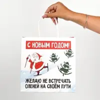 Пакеты подарочные новогодние &laquo;Новый год&raquo;, 22&times;22&times;11 см, 10 шт.