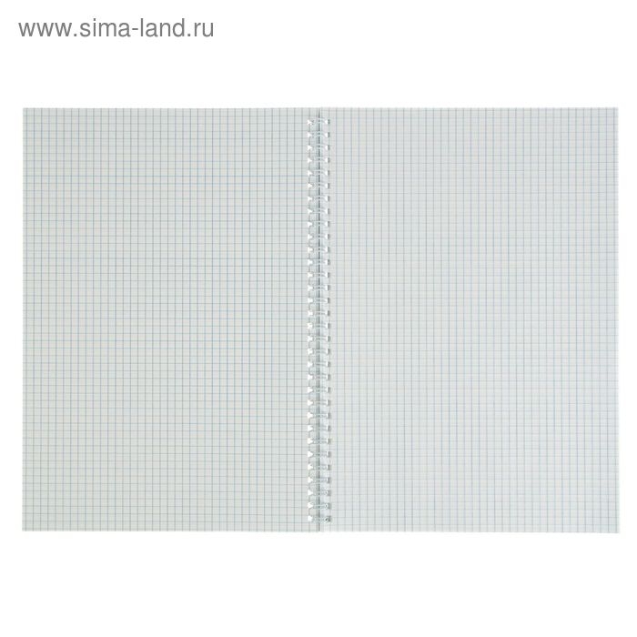 Тетрадь А4, 80 листов в клетку на гребне Тетрадь А4, 80 листов в клетку на гребне "Города", обложка мелованный картон, глянцевая ламинация, МИКС