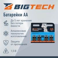 Батарейка BigTech Professional АA/LR6 бл/8шт