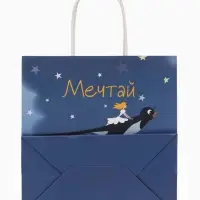 Пакет подарочный &laquo;Мечтай&raquo;, Союзмультфильм, 22&times;22&times;11 см