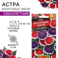 Семена цветов Астра &laquo;Махровые мячи&raquo; смесь сортов, однолетник, 0.1 г, &laquo;Аэлита&raquo;