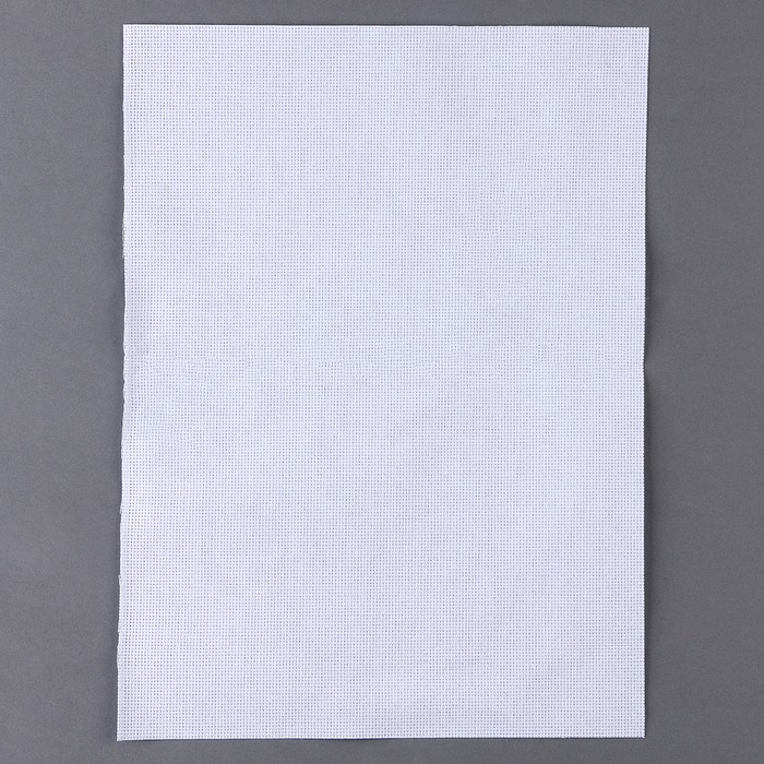 Вышивка крестиком на Новый год. Набор для вышивания носка «Снегири» Вышивка крестиком на Новый год. Набор для вышивания носка «Снегири»