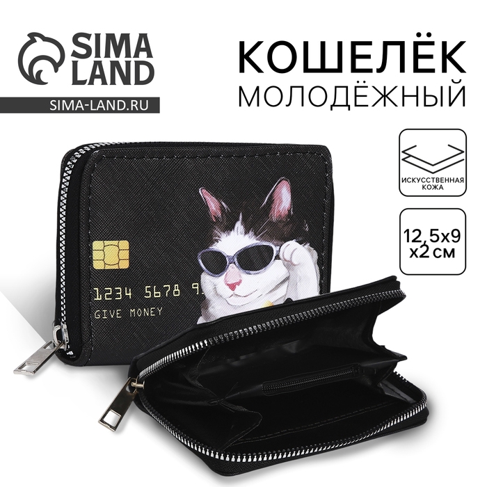 Кошелёк женский &laquo;Где деньги&raquo; 12х9,5х2 см