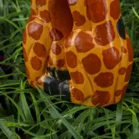 Сувенир «Целующиеся жирафы», 25×4×10 см, дерево Сувенир «Целующиеся жирафы», 25×4×10 см, дерево