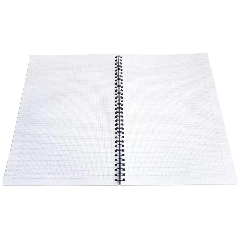 Бизнес-тетрадь&nbsp;А496л.клетка,спираль Be Smart,Aesthetics N3402